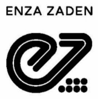 Enza Zaden