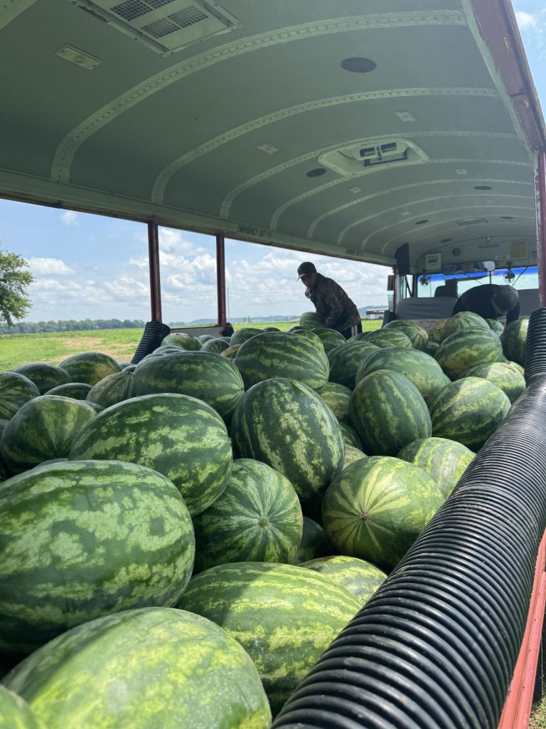 Harvest